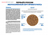 Аграрная политика: «Первый в России желтосемянный сорт Кенар»